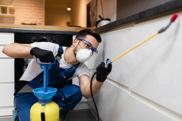  West Elmira, NY Pest Control Pros
