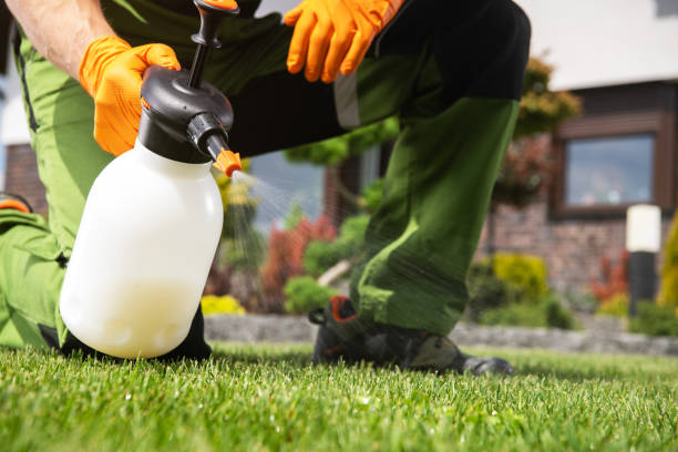 Best Wasp Removal Services  in West Elmira, NY