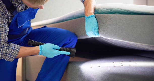 Best Pest Inspection Near Me  in West Elmira, NY