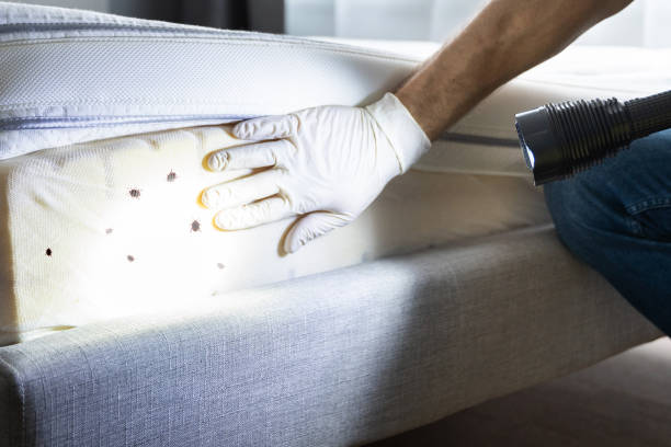 Best Pest Prevention Services  in West Elmira, NY