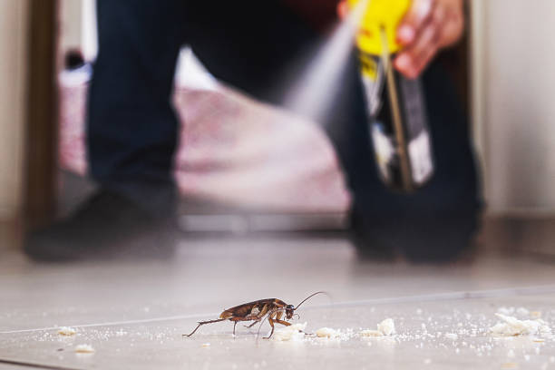 Best Pest Control Near Me  in West Elmira, NY